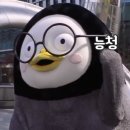 H1901 이미지