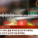용두식육식당 이미지