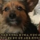 소울57 이미지