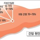 맥주효모의 효능 이미지