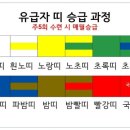 골든킥태권도 이미지