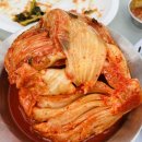 서울근교 캠핑장 추천 남양주 힐링별밤수목원 캠핑장