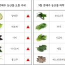 (주)청운 네이버블로그