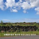 신제일공인중개사사무소 네이버블로그