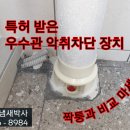 동읍863 이미지