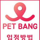 소울메이독 네이버블로그