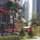 동산동-21 이미지