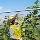 정종순농장 이미지