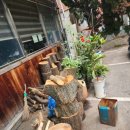 금수천반점 이미지