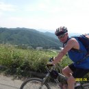 지품6 Daum카페