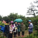 용인농산