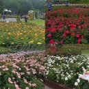 신여천로 중앙일보