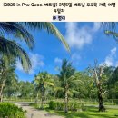 가위든가족 | [2025 in Phu Quoc, 베트남] 3박5일 베트남 푸꾸옥가족 여행, 마지막 4일차
