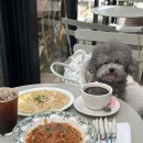 기장카페/기장브런치카페] 기장에서 만나는 프랑스 메종! 기장브런치맛집 실내애견동반가능한 ‘칼리빌라’