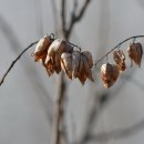 나무고아원 이미지