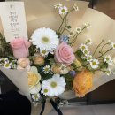 사하라블라썸