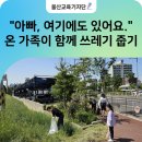 내황초등학교 이미지