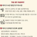 투마이퍼피 네이버블로그