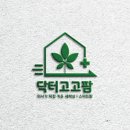 고고펫 이미지