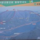 공설운동장자판기 Daum카페