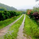 일동농장 이미지