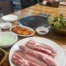 워킹도고 이미지