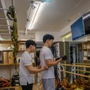 도시히피즈 이미지