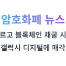 (주)헬리오스홀딩스