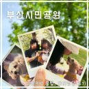 시민공원 입구 CU(새싹로 82-3) | 부산시민공원 피크닉 ★ 준비물, 편의시설, 카페, 남문 명당자리 추천