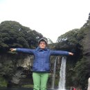 천지연 폭포 이미지