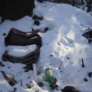 방아다리 이미지