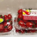 동아싱싱청과