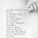 심안 이미지
