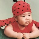 우진 이미지