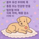 강아지 유선종양 수술 후기 [용인 분당 동물병원]