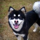 우리바다 이미지