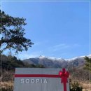 수피아베이커리