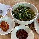 종가집칼국수 이미지