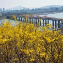 달맞이근린공원 이미지