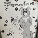 냥코센세 이미지