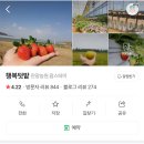송리농장 티스토리