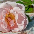 양근축산 이미지