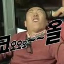코올 Daum카페