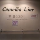 추억의 날개 | EP 290]-부산-후쿠오카 뉴카멜리아 호 특등실 예약, 여행의 날개 이용 후기(feat.모든 객실정보 소개)