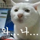 롱앤숏 이미지