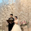 트라움파크 이미지