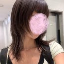 [백석준오헤어 : 힙+ 감성 뿜뿜 중단발허쉬컷 정현쌤 후기]