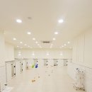 부산애견호텔 강아지유치원 맘바이 사하구점 | 부산애견호텔 부담없이 맡길 수 있는 부산애견호텔 강아지유치원 맘바이 사하구점