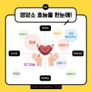 핑크덤벨 네이버블로그