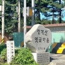 [100대 명산 No.1] 청계산